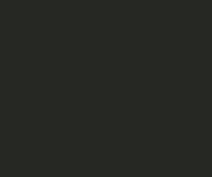 bwn_-if-you-dont-write-whats-in-you-burning-to-be-written