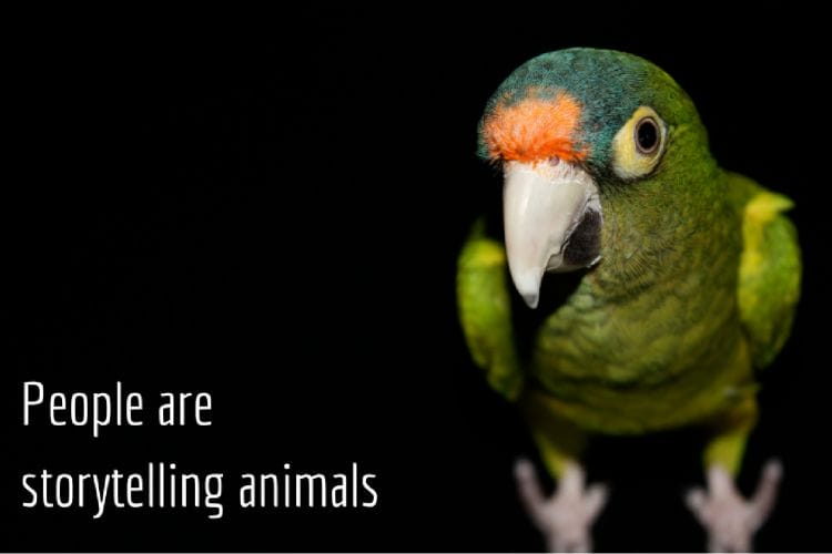 people-are-storytelling-animals